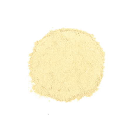 Astragalus root powder