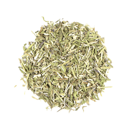 Hyssop herb