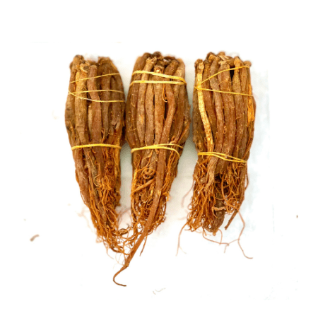 Red ginseng (8-10 years) 